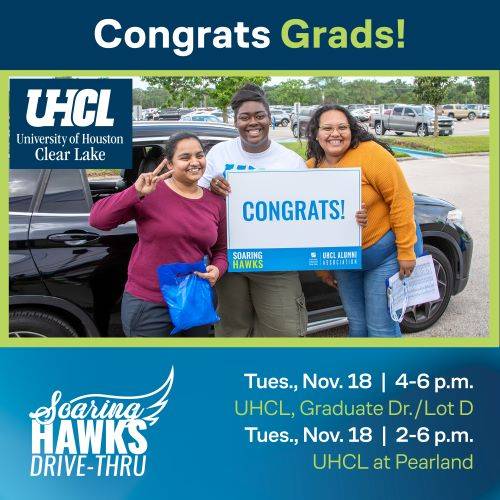 Soaring Hawks
