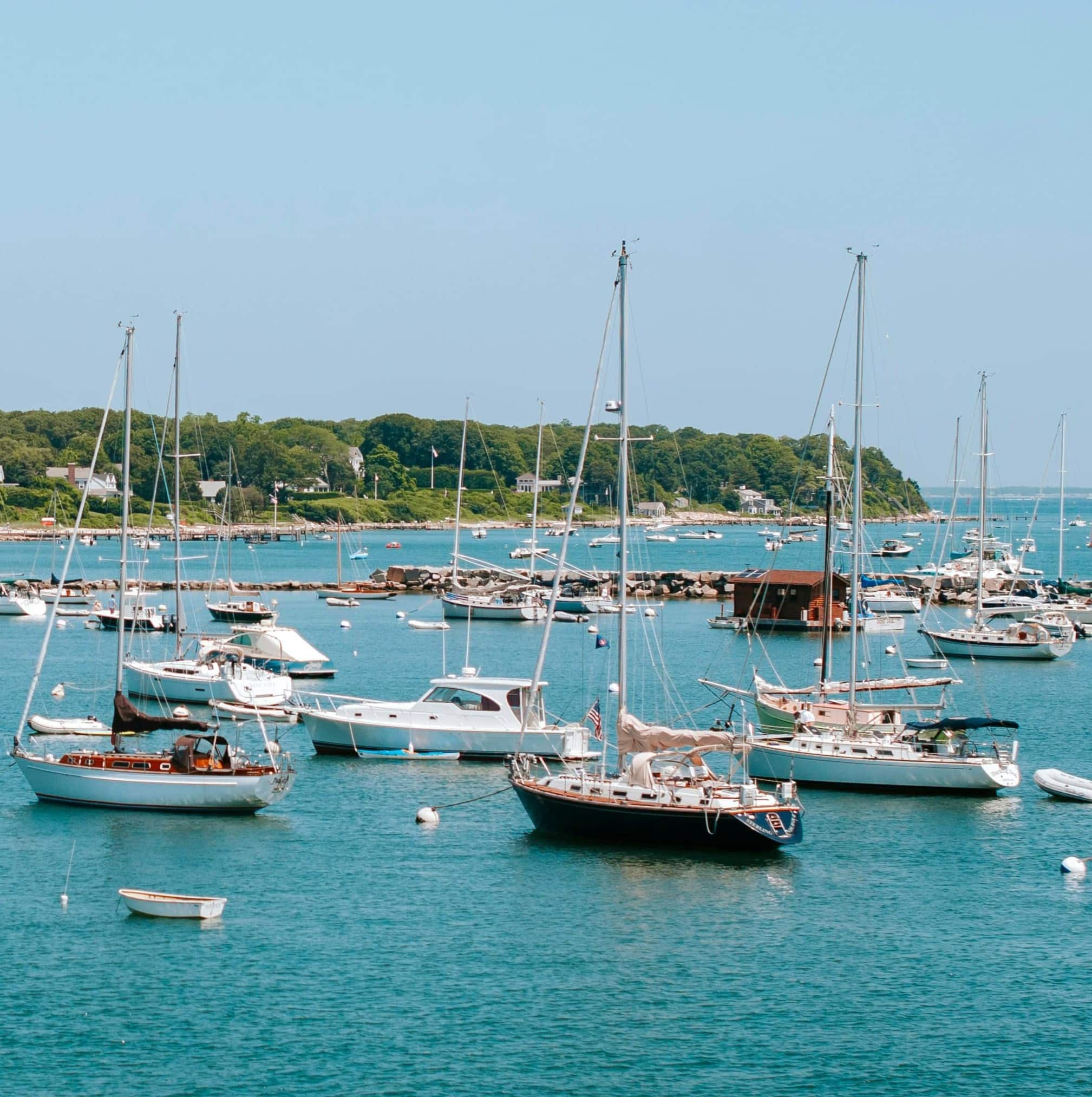 the new enlgland coastline glistens as its crowded by dozens of small sailing boats.