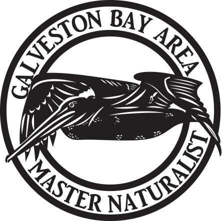 Galveston Bay Area Chapter Texas Master Naturalist logo
