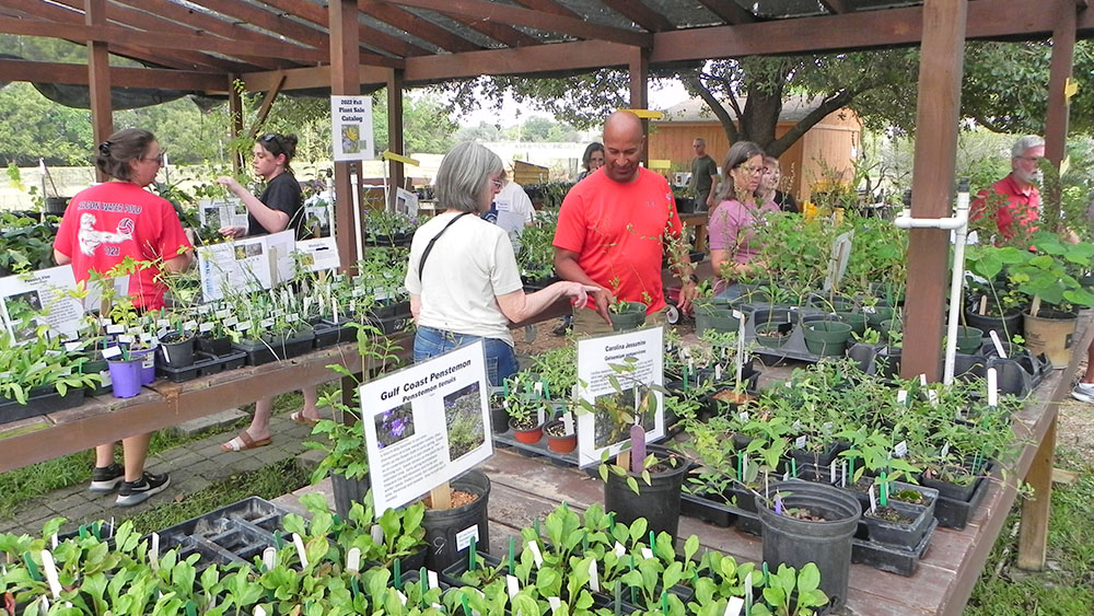 Native Plant Sale Shoppers browsing through a variety of native plants for sale