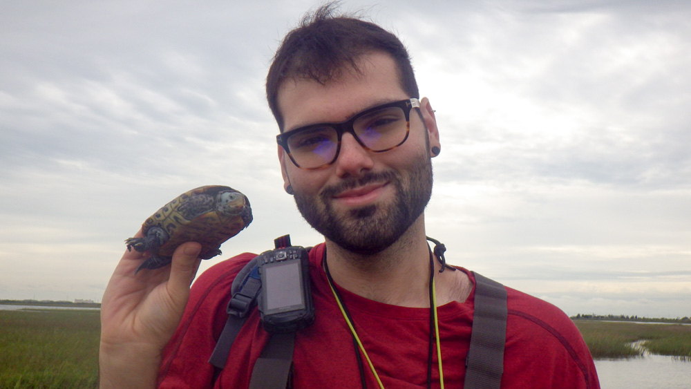 Randon Pierson Randon is in a marsh holding up a diamondback terrapin.