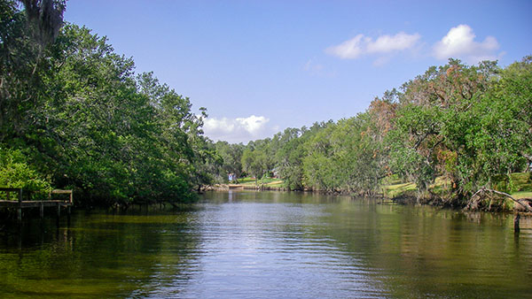 Texas Clean Rivers Program A serene river with trees lining its banks