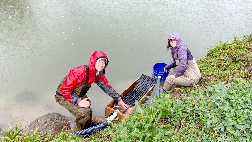 Monitoring American Eels American Eel Project