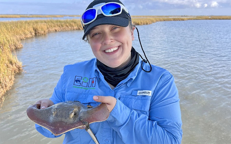 A person holding a small stingray with water and marshland in the background.
