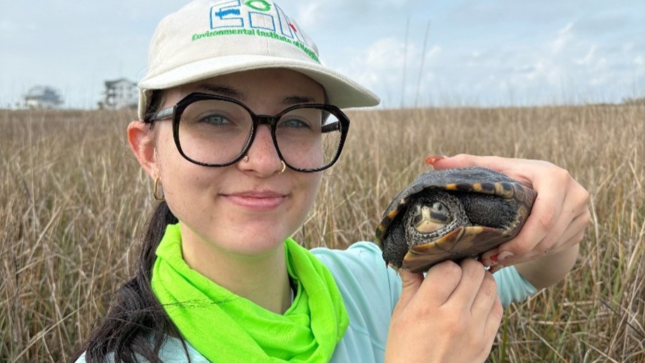 Person wearing a light-colored cap, black-framed glasses, and a bright green neck gaiter holds a small turtle with both hands in a marsh field.