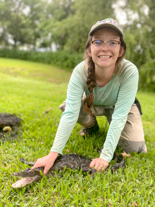 Sarah Bullard Sarah is kneeling on one knee and holding down a small alligator with both hands.