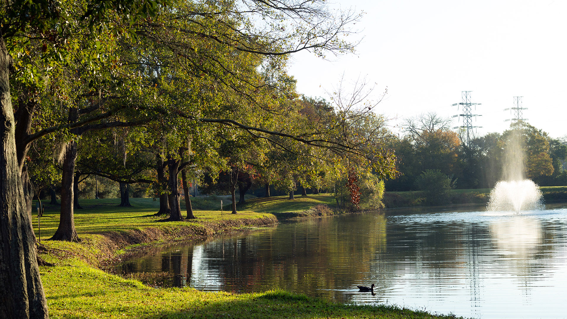 Potter Pond