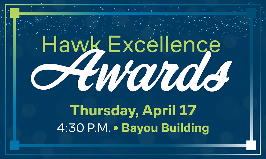 Hawk Excellence Awards decorative banner